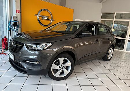 Opel Grandland X Edition Navi+LED+AHK