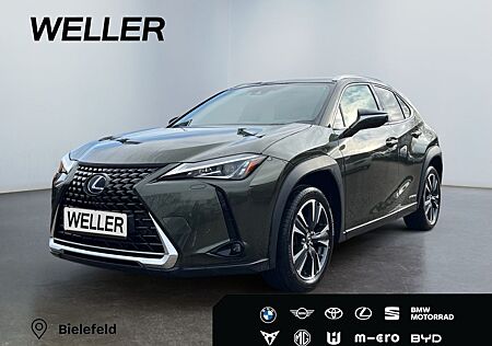 Lexus UX 250h Style Edition *Bi-LED*AHK*CAM*ACC*SHZ*PD