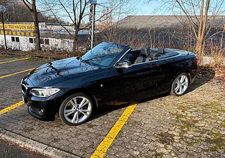BMW 228i Cabrio - 2. Hd Xenon Navi SHZ AHK