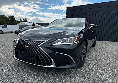 Lexus ES 300 ES300h Business Line - ACC, LED, PDC, KAMERA