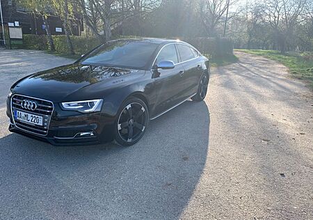 Audi S5 3.0 TFSI S tronic B&O Schiebedach