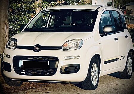 Fiat New Panda Panda Young gepflegt, mit Anhängerkupplung