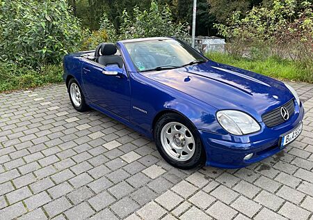 Mercedes-Benz SLK 200 Kompressor - Im Herbst seines Lebens