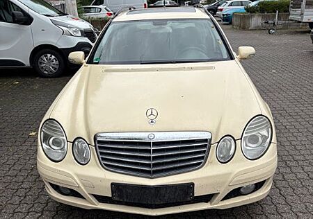 Mercedes-Benz E 220 gebraucht kaufen Mercedes-Benz E 220 T CDI/Automatik/Klima/SD/1Hand