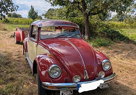 VW Käfer Volkswagen