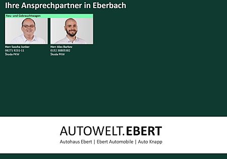 Skoda Kodiaq 2.0 TDI Sportline 4x4/360°CAM/ACC/DCC/LED