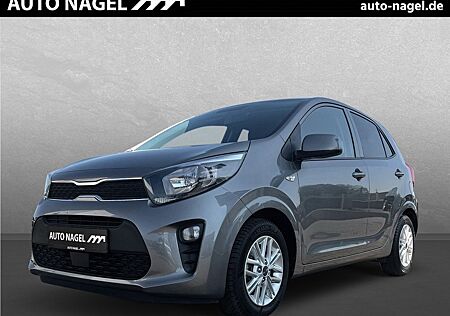 Kia Picanto Dream Team Allwetterre