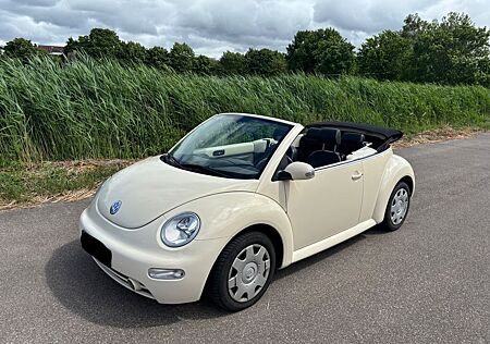 VW Beetle Volkswagen