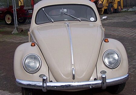 VW Käfer Volkswagen BREZELKÄFER
