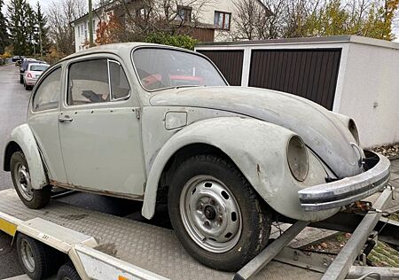 VW Käfer Volkswagen
