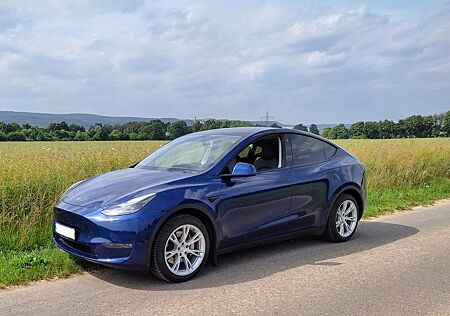 Tesla Model Y Y LR AWD, Matrix LED, Enhanced AP, WP, AHK