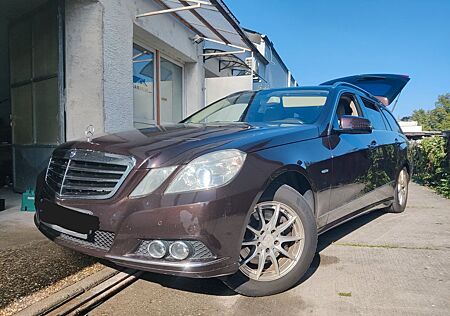 Mercedes-Benz E 300 gebraucht kaufen Mercedes-Benz E 300 CDI T BlueEFFICIENCY ELEGANCE