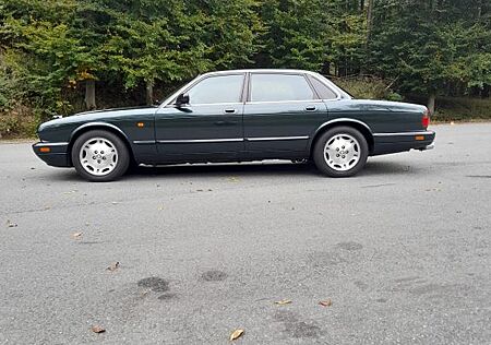 Jaguar XJ Executive in Spruce-Green Metallic