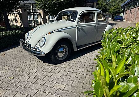 VW Käfer Volkswagen 1200 Export aus Erstbesitz 42 jahre abgeme