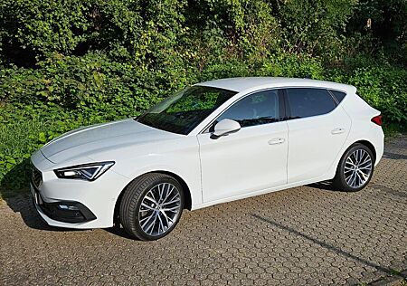 Seat Leon 2.0 TDI 110kW Xcellence DSG Sportstoure...