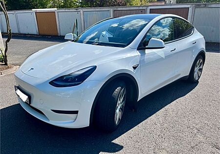 Tesla Model Y Standard Range RWD AHK Matrix-LED