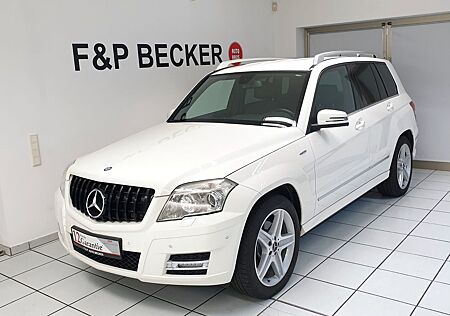 Mercedes-Benz GLK 250 CDI BlueEfficiency 4Matic Navi AHK ILS