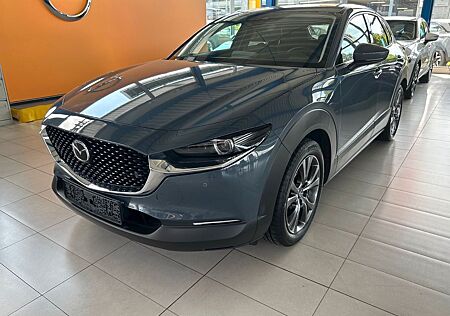 Mazda CX-3 CX-30 Selection AWD Automatik