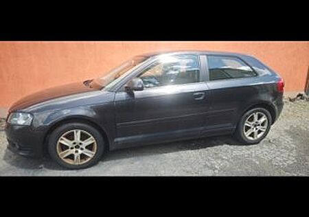 Audi A3 1.6 TDI (DPF) 77kW Ambition Ambition