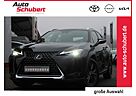 Lexus UX 250h LAUNCH+Navi+LED+SITZHZG+LENKRADHZG+KAMER