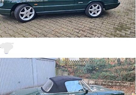Alfa Romeo Spider