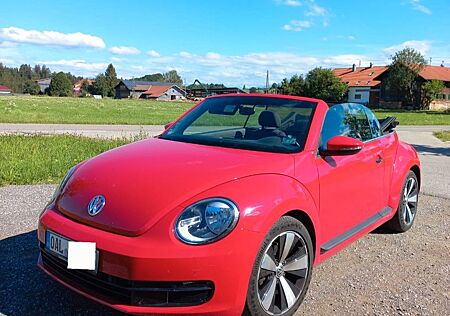 VW Beetle Volkswagen 1.6 TDI Cabriolet in Tornado Rot