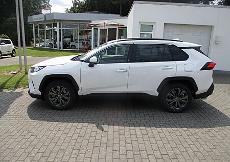 Toyota RAV 4 Hybrid 4x2 Team Deutschland, Technik Paket