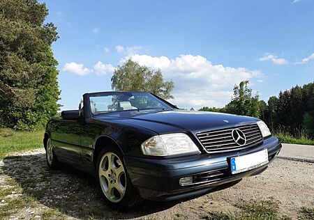 Mercedes-Benz SL 280 SL280 Automatik Scheckheft Historie Sammler