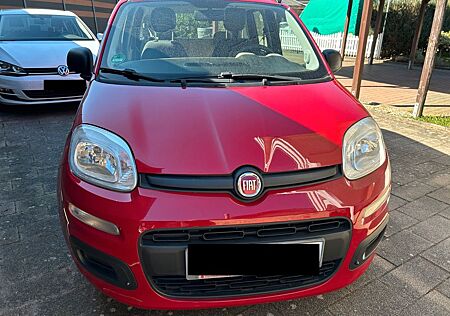 Fiat Panda 1.2 - Zuverlässiger Stadtflitzer!