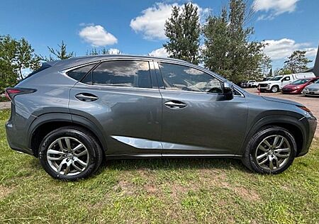 Lexus NX 300 300h -