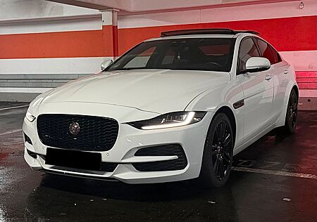 Jaguar XE P250 S Leder*Pano*Kamera*LED*Navi