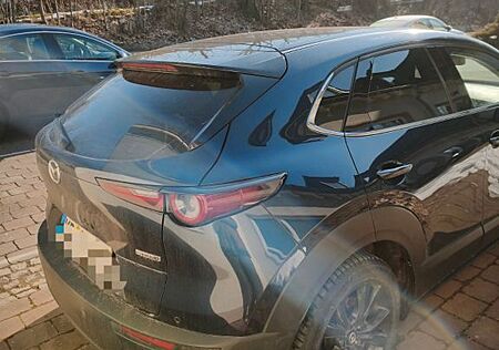Mazda CX-30 e-SKYACTIV X M-Hybrid 186 AWD Homura H...