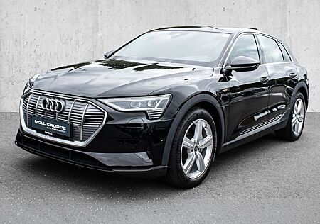 Audi e-tron 50 quattro Leder Kamera LED