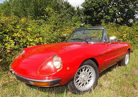 Alfa Romeo Spider 2000 - Eine wahre italienische Schönheit!