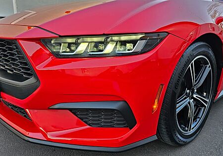 Ford Mustang gebraucht kaufen Ford Mustang Cabrio Premium Eco Boost