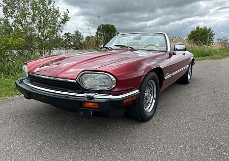 Jaguar XJS V12 Cabrio Original 68.800km Top Oldtimer!