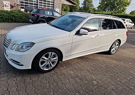 Mercedes-Benz E 220 gebraucht kaufen Mercedes-Benz E 220 CDI T BlueEFFICIENCY AVANTGARDE