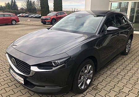 Mazda CX-30 2.5l Centre-Line Design-Paket Automatik Ma