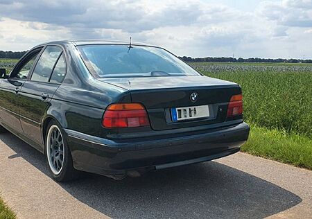 BMW 535I E39 245PS V8
