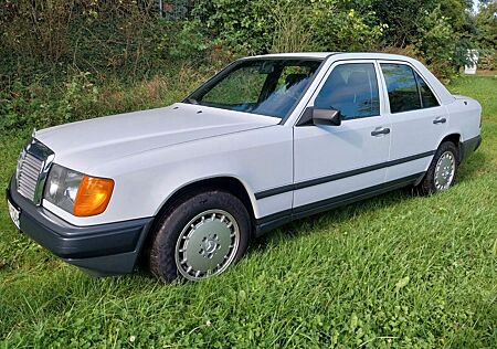 Mercedes-Benz 260 260E W124 Limousine weiß Sechszylinder H-Kennz.