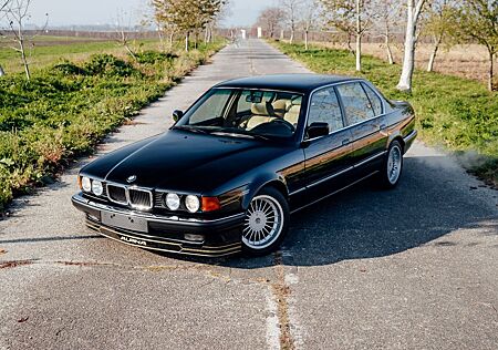 ALPINA B12
