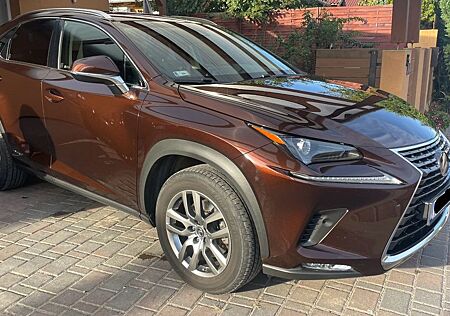 Lexus NX 300 300h -prestige safety+