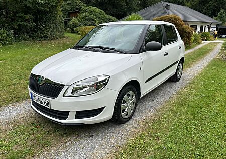 Skoda Fabia 1.2l KLIMA FB-ZV PDC EL-FH TÜV&SERVICE NEU