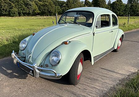 VW Käfer Volkswagen