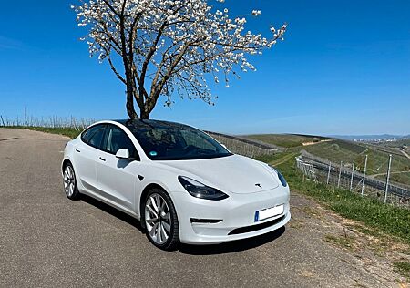 Tesla Model 3 Performance, Allrad, 513 PS, AHK