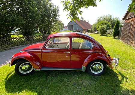 VW Käfer Volkswagen