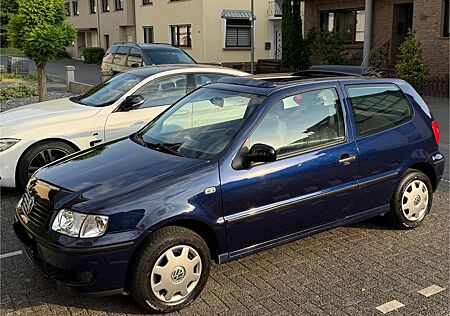 VW Polo Volkswagen 1.4 44kW Großes Faltdach