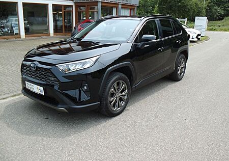 Toyota RAV 4 RAV4 Hybrid 4x4 Team Deutschland