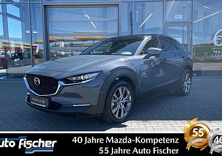 Mazda CX-30 2.5 (140PS) Schalter Exclsuive-Line 360* N