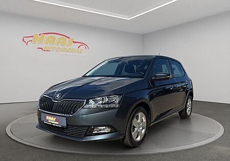 Skoda Fabia Ambition *Kamera*Bluetooth*
